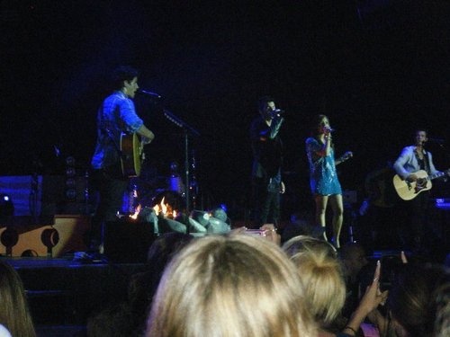 Jonas Brothers 음악회, 콘서트