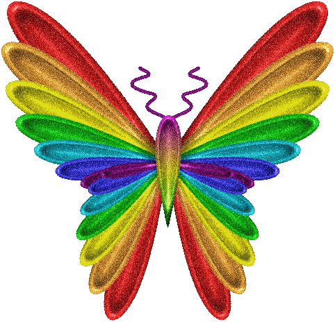  arco iris mariposa