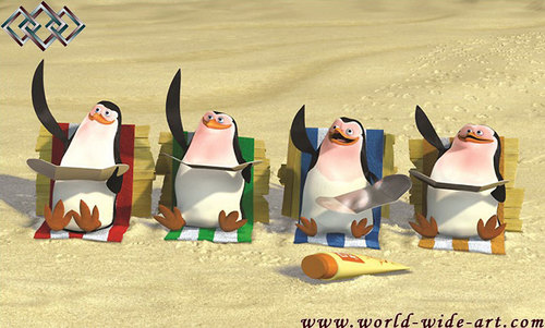  Taned Penguins