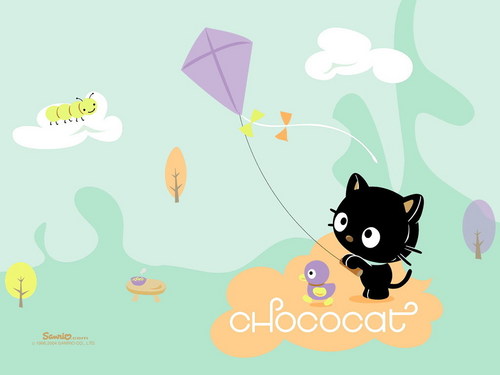 Chcocat and his kite