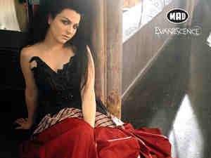  Evanescence[my hero::love'love[]
