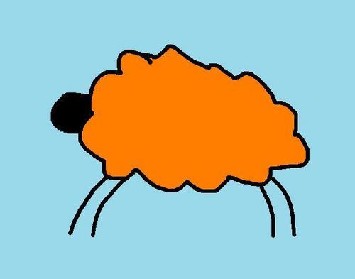  orange mouton, moutons