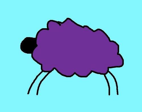  Purple oveja