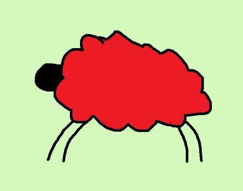  Red pecora, pecore