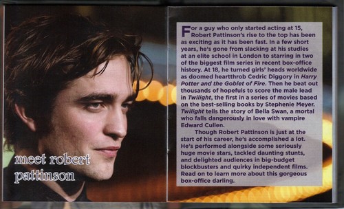  Rob's biography par Little Treasures