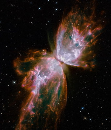 The kupu-kupu Nebula