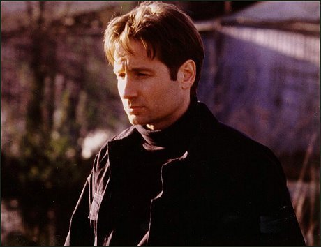  狐狸 Mulder -- Promo 图片