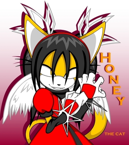 Honey the Cat