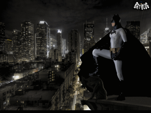  蝙蝠侠 Protecting the city