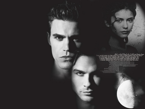  Damon/Katherine/Stefan