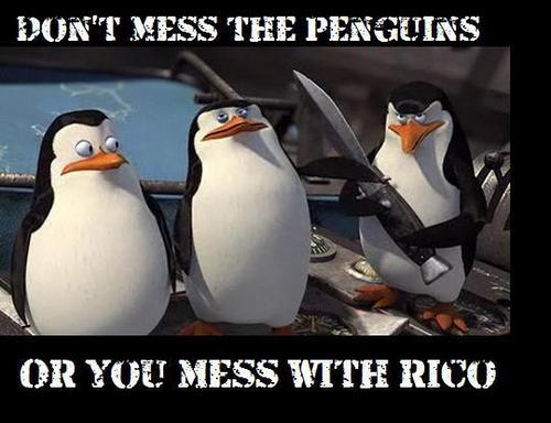  Don't mess with Penguins