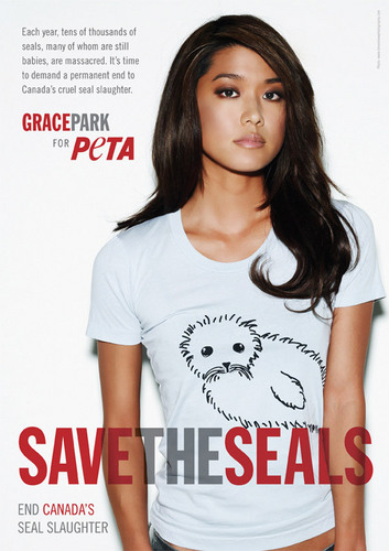  Grace Park's 'Save the Seal' Ad