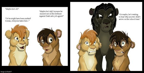 Harry Potter/Lion King Picture