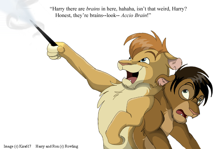 Harry Potter/Lion King Picture