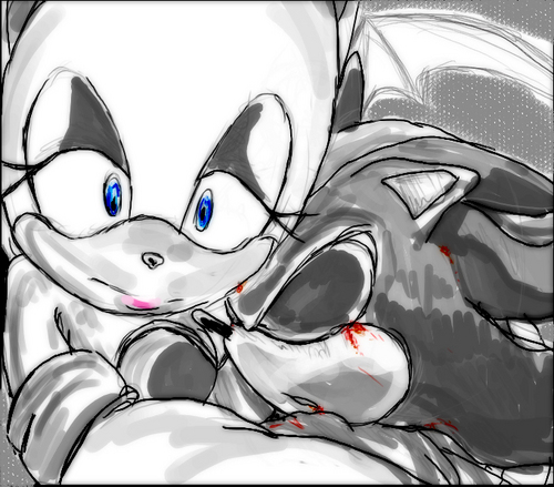  Shadow and Rouge