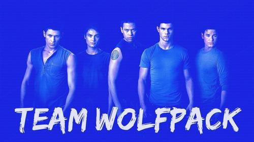  Team Wolfpack