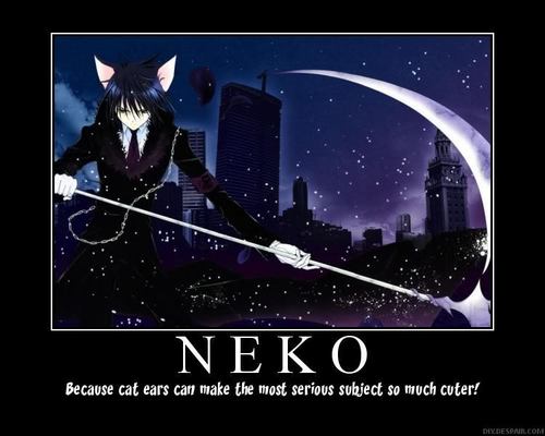  The Defination of Neko~