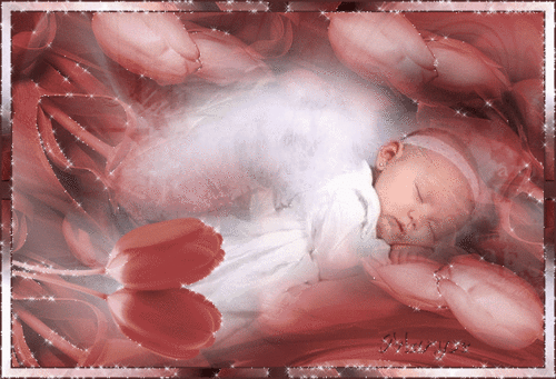  Baby Angel – Jäger der Finsternis