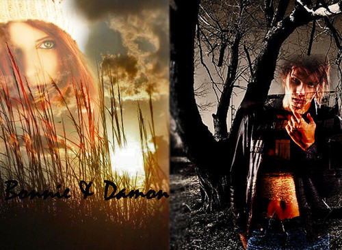  Damon and Bonnie - پیپر وال
