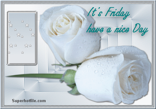  Have a nice Friday