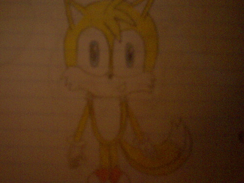 My colored drawing of Tails