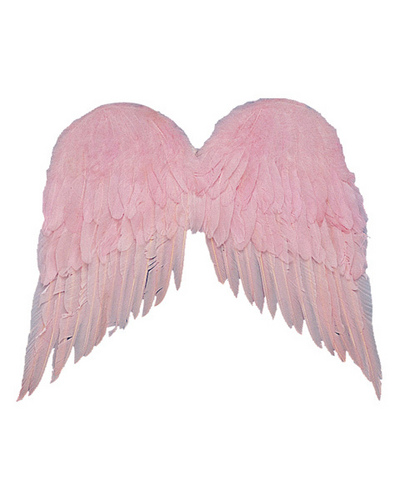  粉, 粉色 wings