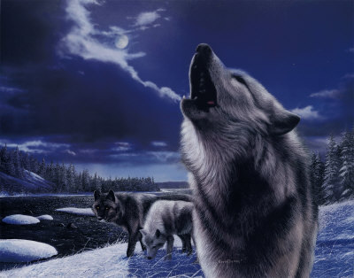  Whinny's fav animal- the loup