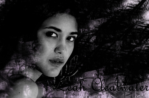 leah clearwater