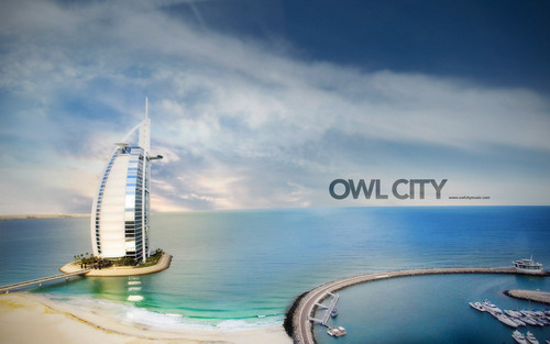 owl city <3