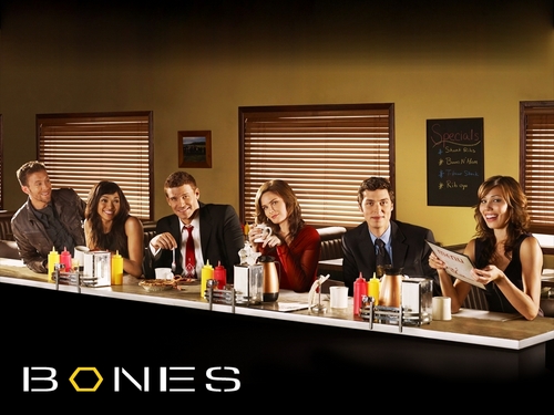  BONES（ボーンズ）-骨は語る- Season 5 壁紙