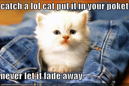  Catch a LOL – Liên minh huyền thoại cat put it in your pocket
