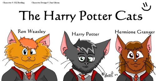  Harry Potter mèo Fanart