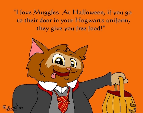  Hogwarts Secret gatos Image