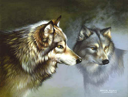  Kasey & Whinny- chó sói, sói Couple 2