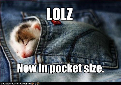 LOLZ now in pocket size