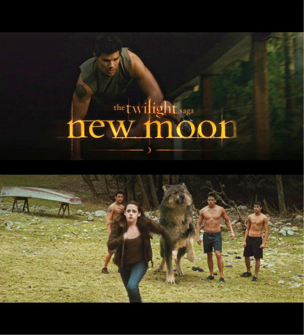  New Moon Promo Poster