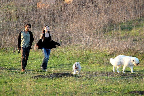  Olivia, Walking Her कुत्ता