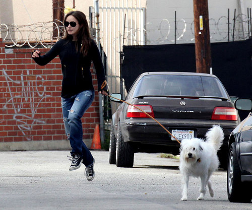 Olivia, Walking Her Dogs