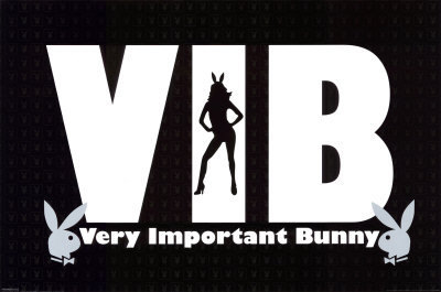  Very Important Bunny