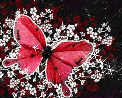 Pretty In Pink,Animated - Butterflies Fan Art (8914837) - Fanpop