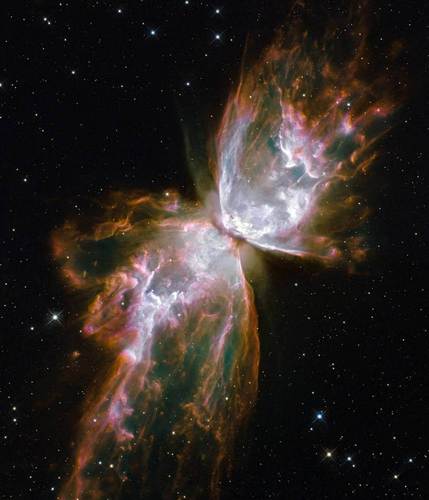  Space butterfly, kipepeo