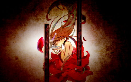  চুম্বন of the Crimson Rose