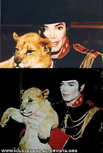  Mike and Lion Cub