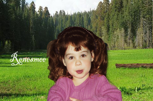  Renesmee In The Meadow