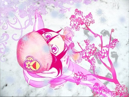  Rukia 담홍색, 핑크