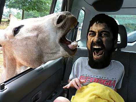  Sparta Man about to be eaten سے طرف کی a horse