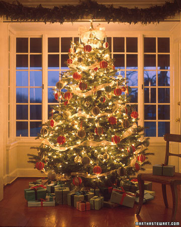  The Christmas درخت