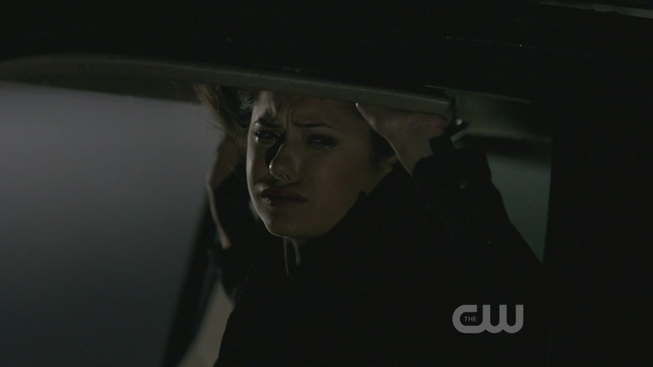 http://images2.fanpop.com/image/photos/9100000/1x10-The-Turning-Point-the-vampire-diaries-tv-show-9123610-1280-720.jpg