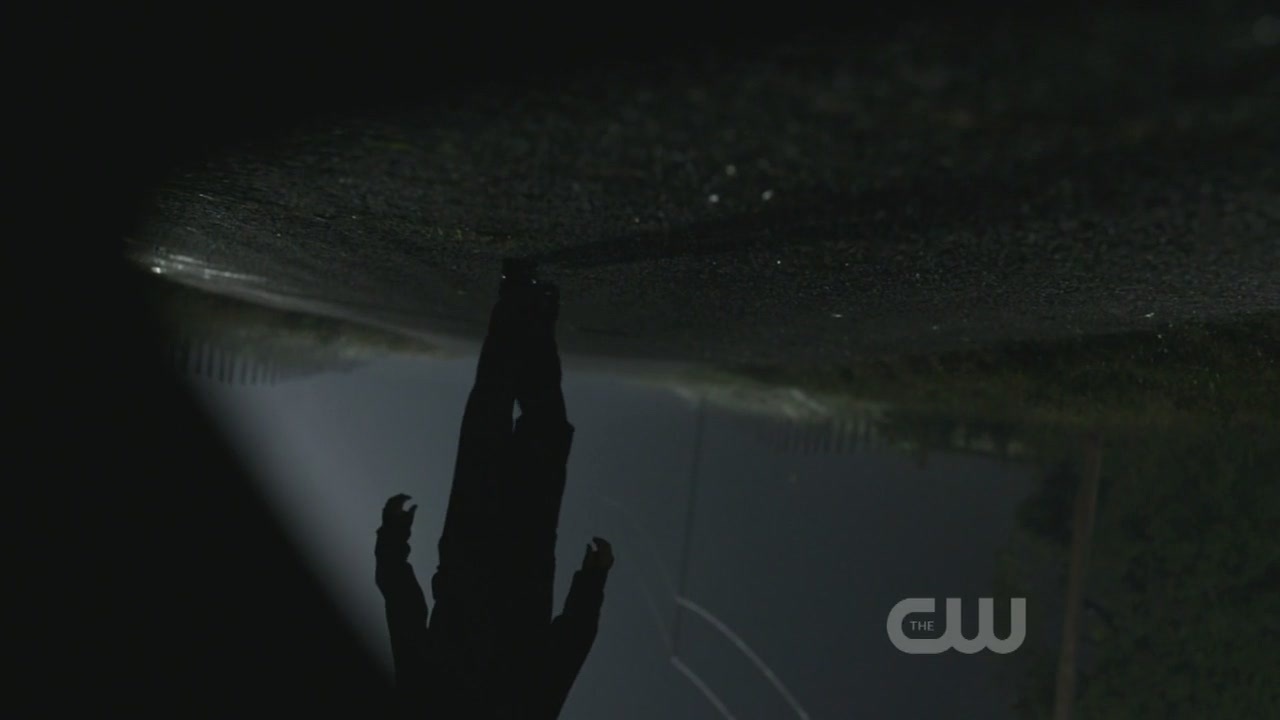 http://images2.fanpop.com/image/photos/9100000/1x10-The-Turning-Point-the-vampire-diaries-tv-show-9123622-1280-720.jpg
