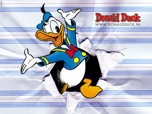  Donald eend